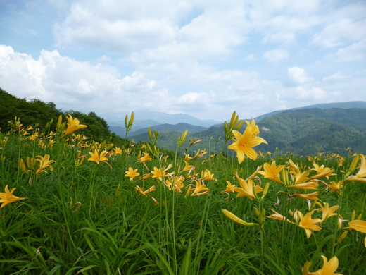 d0231858_724378.jpg
