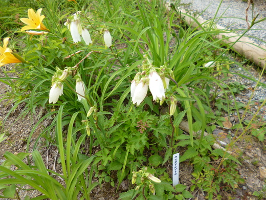 d0231858_728879.jpg