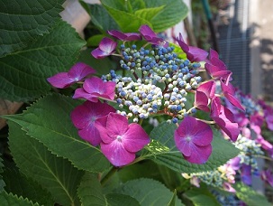 f0221360_10393812.jpg