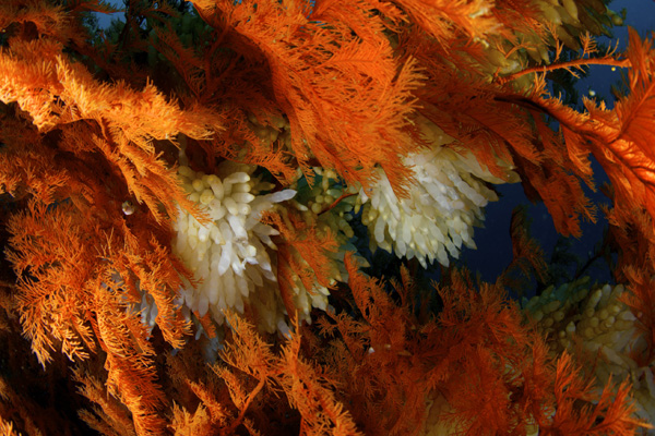 b0062363_0491664.jpg