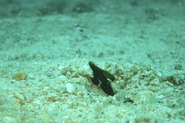 b0062363_0494683.jpg