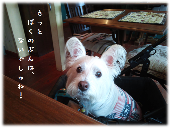 b0242873_23375291.png