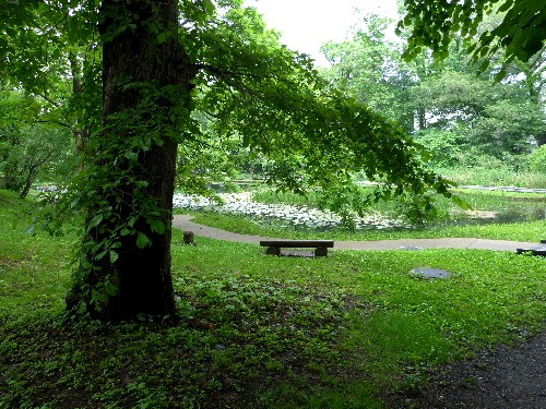 d0084473_20434757.jpg