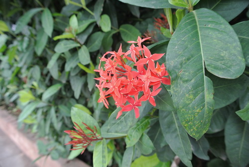 a0002177_13244786.jpg