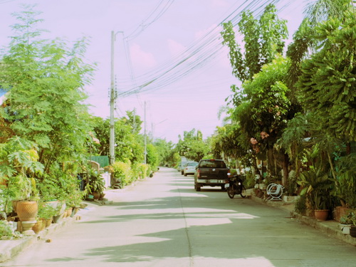 a0002177_1824496.jpg