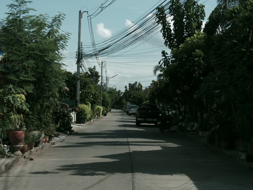 a0002177_1824829.jpg