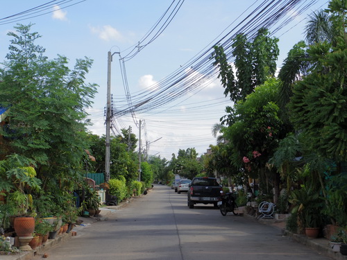 a0002177_1833448.jpg