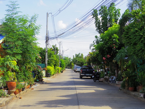 a0002177_183563.jpg