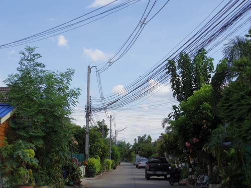 a0002177_1843111.jpg