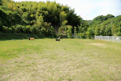 f0037378_1542313.jpg