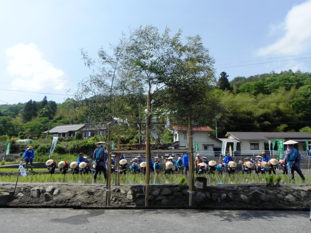 d0155582_03462.jpg