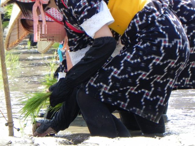 d0155582_062533.jpg