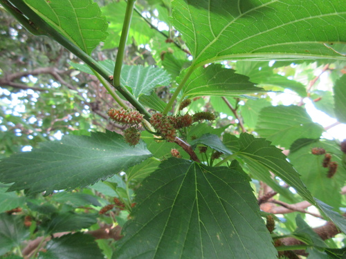 c0204385_1939342.jpg