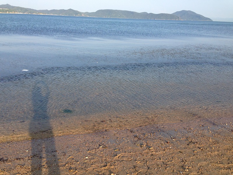 d0141487_21111210.jpg
