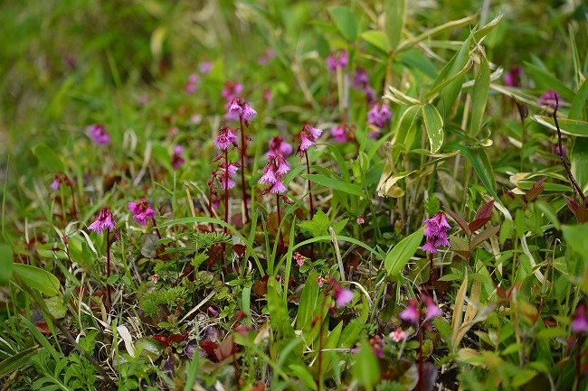 b0255992_23132257.jpg