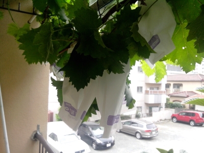 f0166694_192099.jpg
