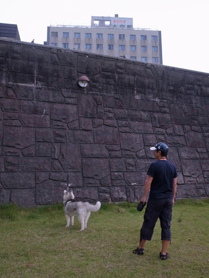 c0049299_23111150.jpg