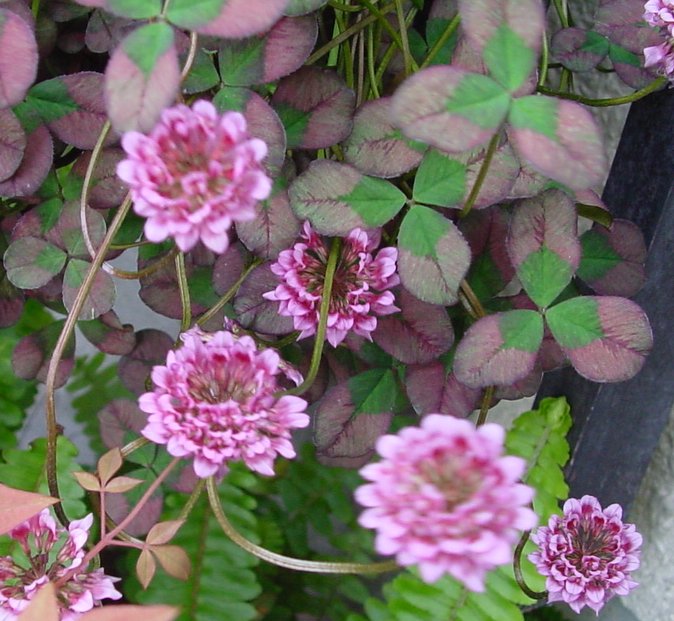 a0031000_2227022.jpg