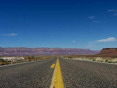 a0310405_5381372.jpg