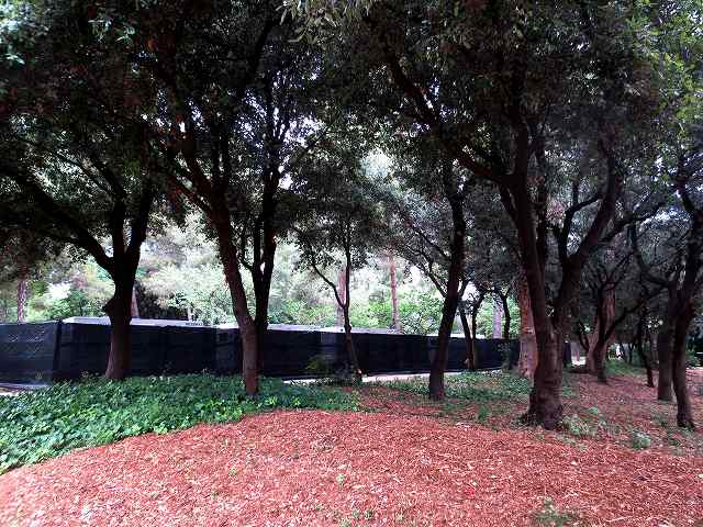 b0064411_06104210.jpg