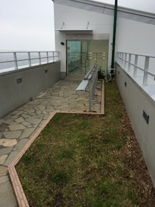 d0179818_82613100.jpg