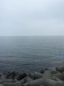 d0179818_8261589.jpg