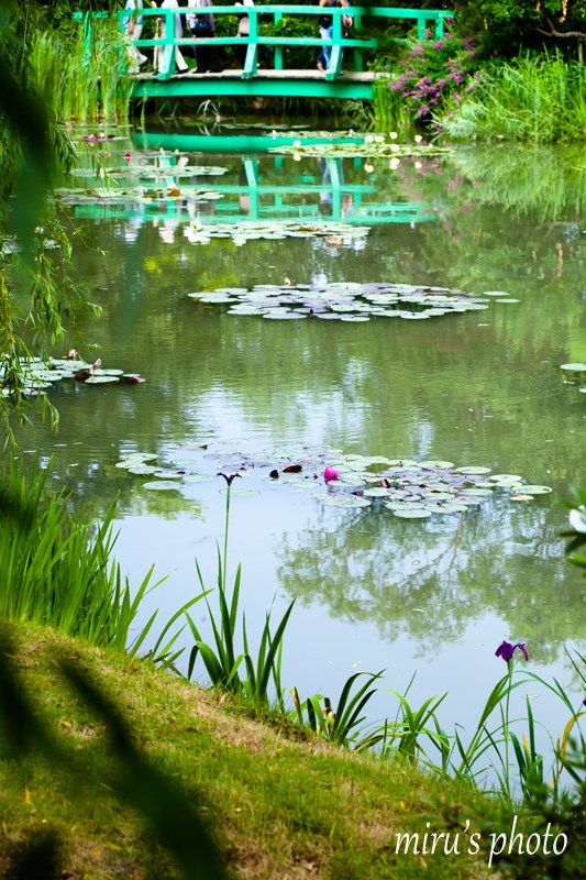 c0037519_10404558.jpg