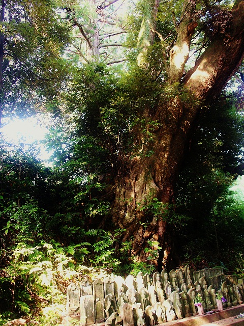 b0252727_8374186.jpg