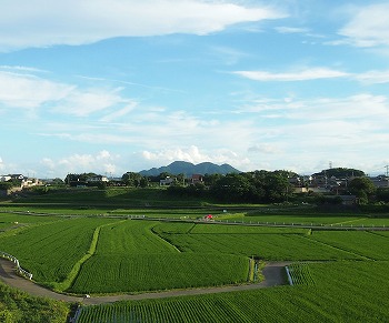 c0171349_14304287.jpg