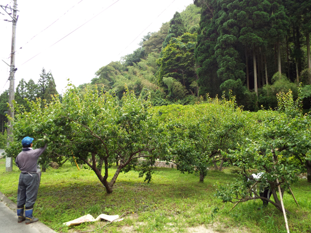 f0214649_6392636.jpg