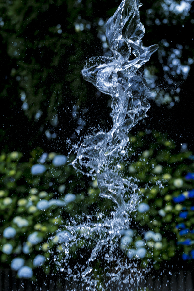 d0163550_812431.jpg