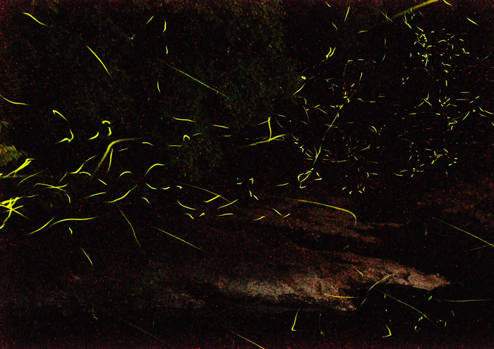 a0284558_10315749.gif