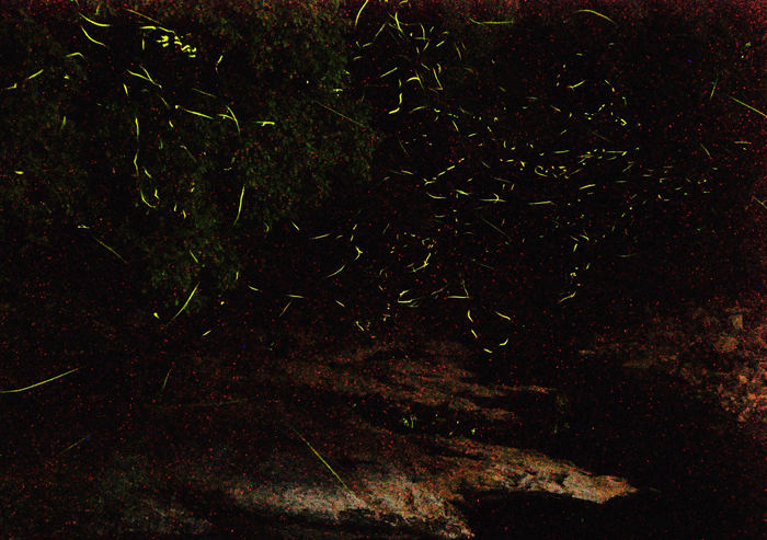 a0284558_10323097.gif