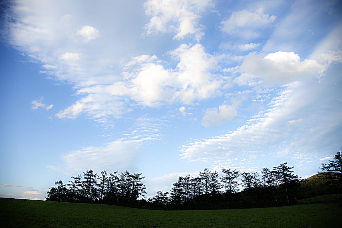 e0271864_2104368.jpg