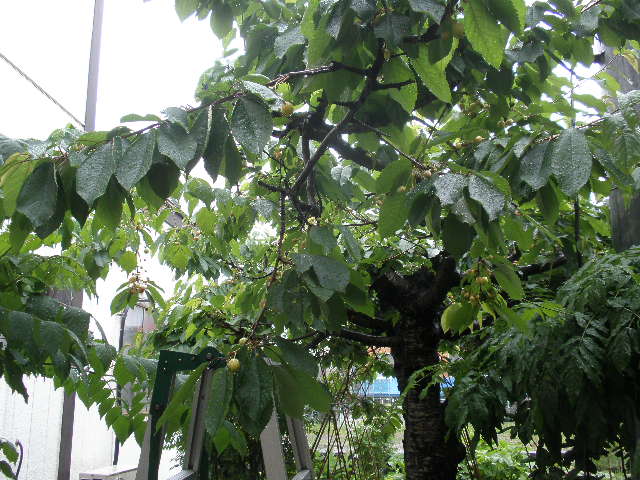 d0150967_22175491.jpg