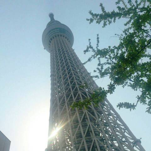 a0151071_1342060.jpg