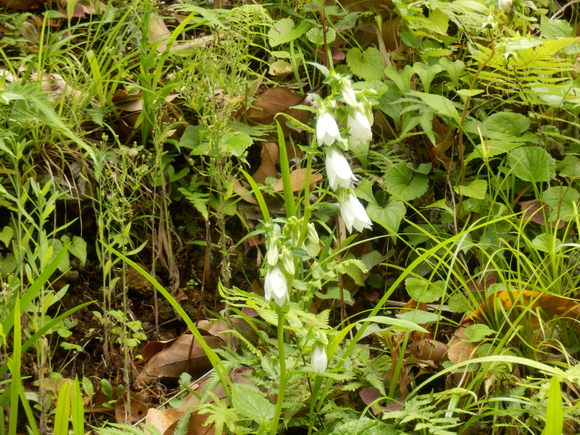 e0292172_2038436.jpg