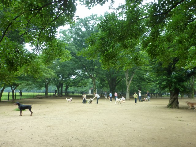 a0157174_18211431.jpg
