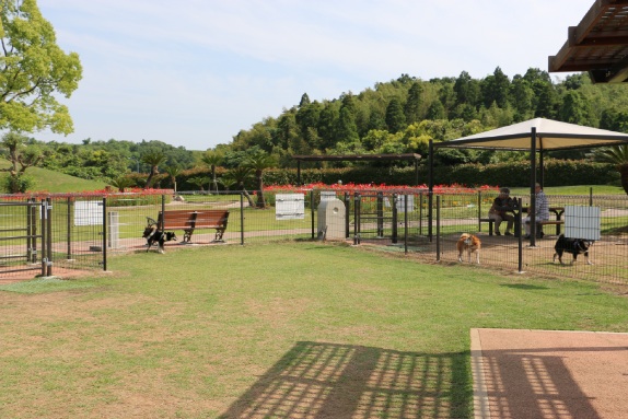 b0239176_6455660.jpg