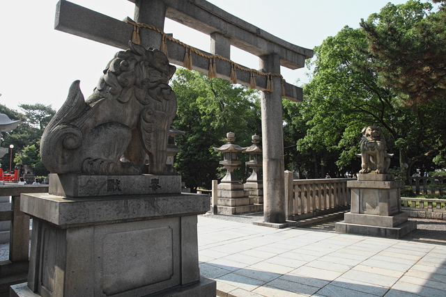 c0196076_1732273.jpg