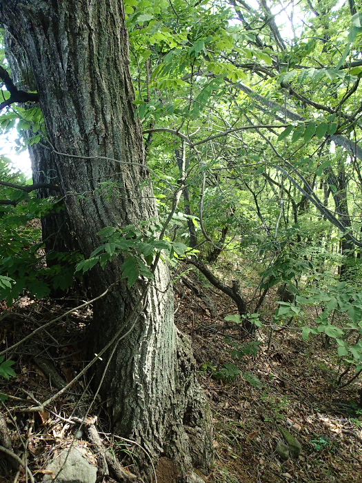 f0090680_2281176.jpg