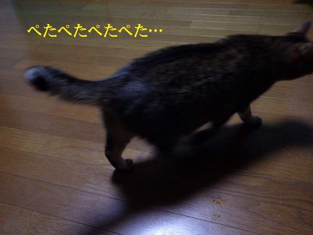 a0159490_15403995.jpg