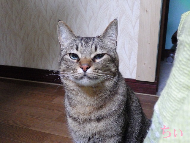a0159490_1541244.jpg