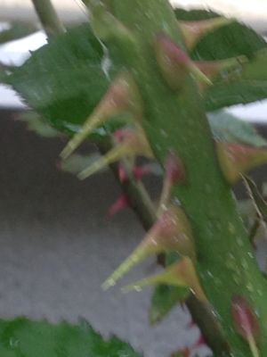 a0279990_1815465.jpg
