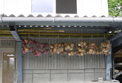 f0222692_2215976.jpg