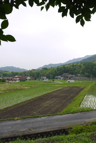 f0222692_2255342.jpg