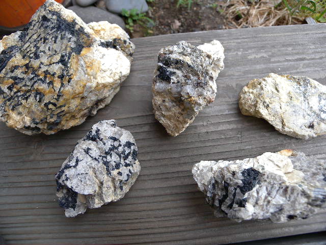 a0199297_1872110.jpg