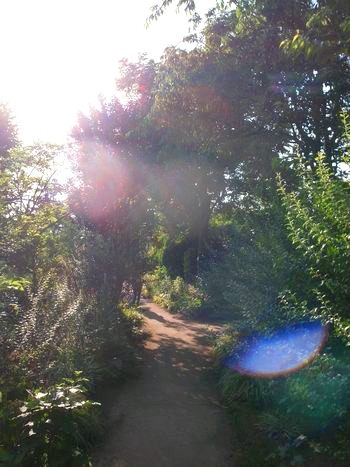 c0297004_2258363.jpg