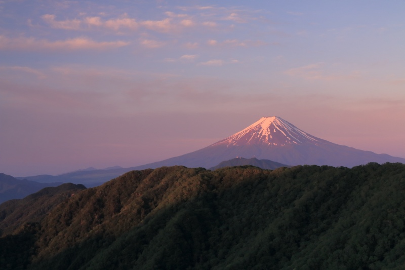 a0188405_2051635.jpg