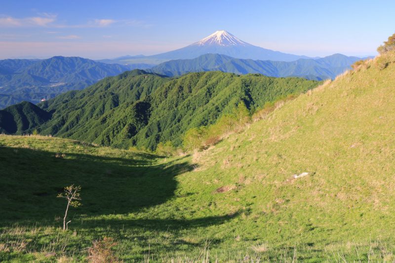 a0188405_2142122.jpg